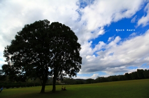 找到自己的慢生活