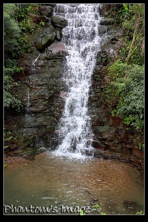 2009.6.13_花岩山林慶生
