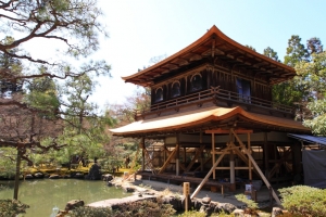 日本京阪賞櫻之旅~銀閣寺