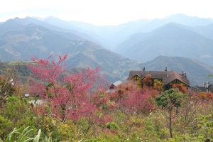 Yuriko 清境農場 走走