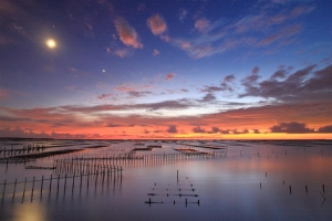 20100814 - 七股。蚵棚夕照