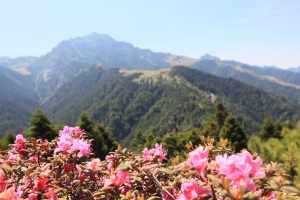 端午之人在南湖大山