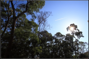 東海大學 圖多23P