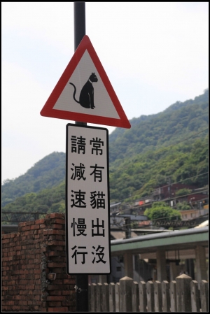 侯硐。貓村