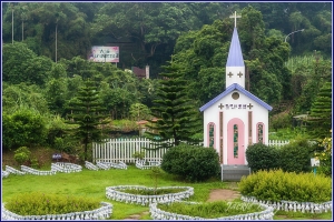 2012 杰克的隨拍 (40) 午後雷陣雨的小品
