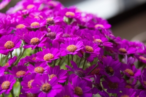 [600D]翹課跑去大陸找老爸玩