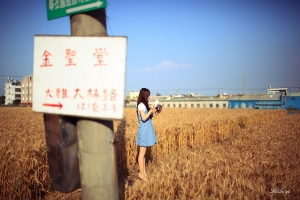 故鄉 . 麥
