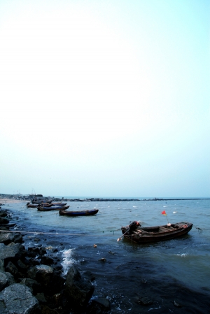 黃河入海口的海