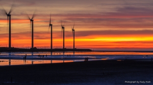 夕陽斜照紅高美