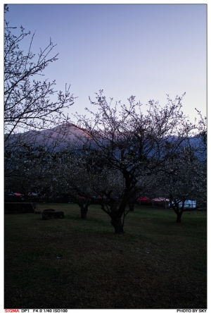 [DP1]2010柳家梅園