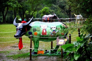 雨中的彩色牛