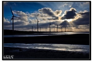 ※ 光的誘惑 ※