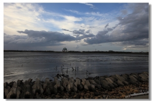 風雨欲來之福寶溼地