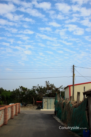 Countryside at Yunlin. [鄉間路 at 雲林]