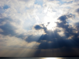 久違了...by Lenny