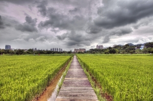風雨欲來 - 新店安坑HDR一張
