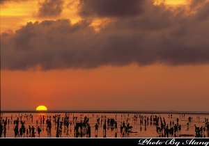 隨拍 - 高美濕地夕照(FUJI RDP III)