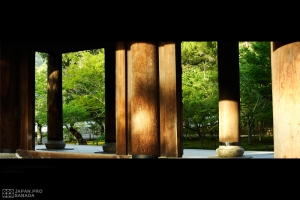 京都南禪寺 - 與新綠的一期一會 -