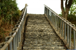 南部關仔嶺紅葉公園尋楓&nbsp;&nbsp;+&nbsp;&nbsp;旅途隨拍&nbsp;&