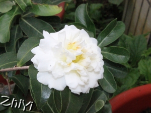 1230 隨意拍！（表情圖片意義不明XD！）