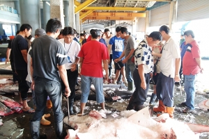 1029成功鎮新港漁市隨拍