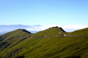 中橫和高美