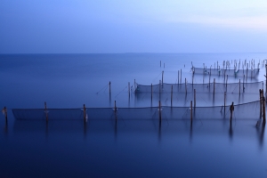 高美首部曲 一 火龍現身