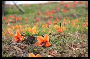 高美館周圍隨手拍。