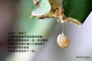 空殼.......(一張流)