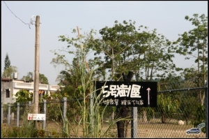 台南新化...........五號樹屋.