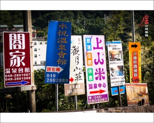 ::: Lushan 廬山真面目 by DV :::