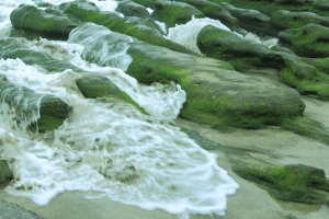 石門老梅--請多指教--謝謝.