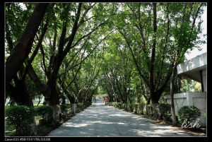 第一次发贴,望各位多多指出不足之处!