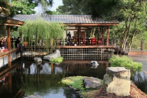 又見一炊煙 - 新社