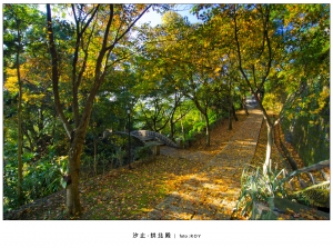 汐止 : 拱北殿 (影片+照片)