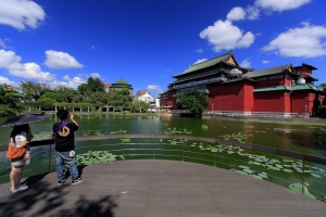 【台灣系列】★池畔青天映水蓮★風情選