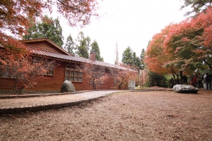 『楓』攝影... 2011.11.26 ~ 27