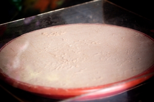 戶外找昆蟲~石龍宮--龍鳳瀑布