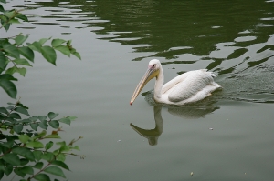 輕描淡寫(2) - 雜工