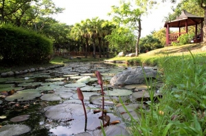 公園隨拍~