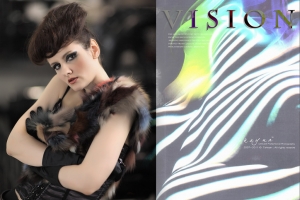 【VISION】