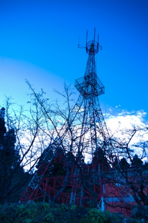 20120304阿里山初櫻 預計3月17日18日在衝第二次