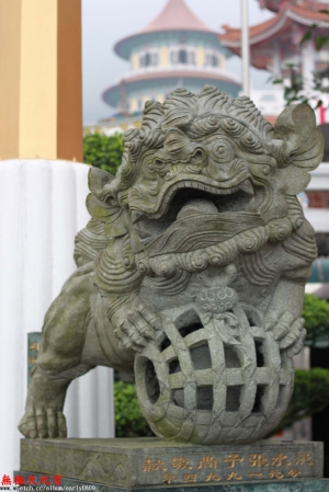 【天元宮】櫻花回憶~~