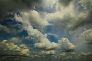 １０－２２ｍｍ还是稻田摄