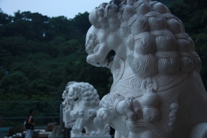 40D新手