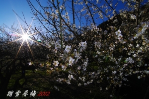 2012 踏雪尋梅
