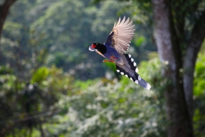 這一家系列-&nbsp;&nbsp;只是純粹分享