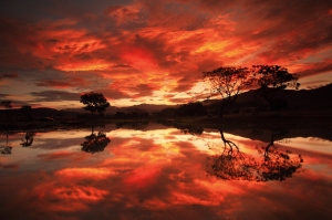 11/19晨景-大火焰_小心燙傷