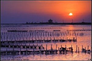 7/21 七股Z型蚵棚