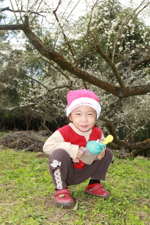 踏雪尋梅 雖然沒有雪